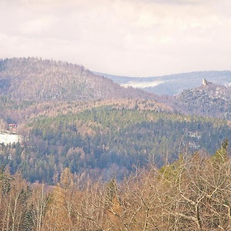 Sosnówka Willa "Sniezna Kopa"-Agroturystyka Pro Zdrowotna 빌라 외부 사진